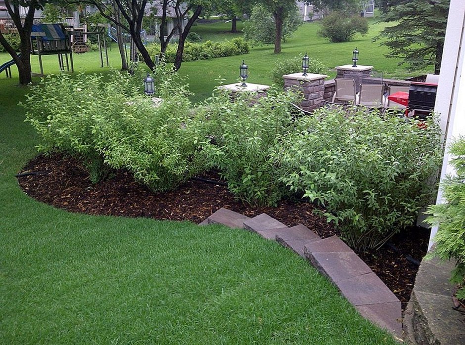 Сад с газоном и кустами