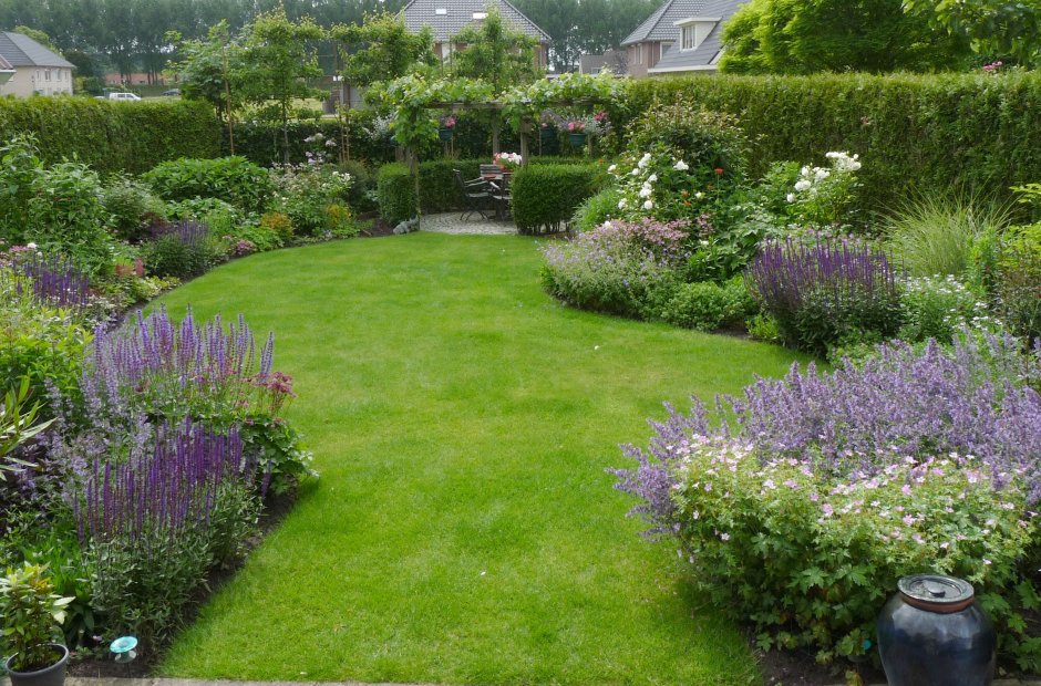 Котовник Фассена в цветнике