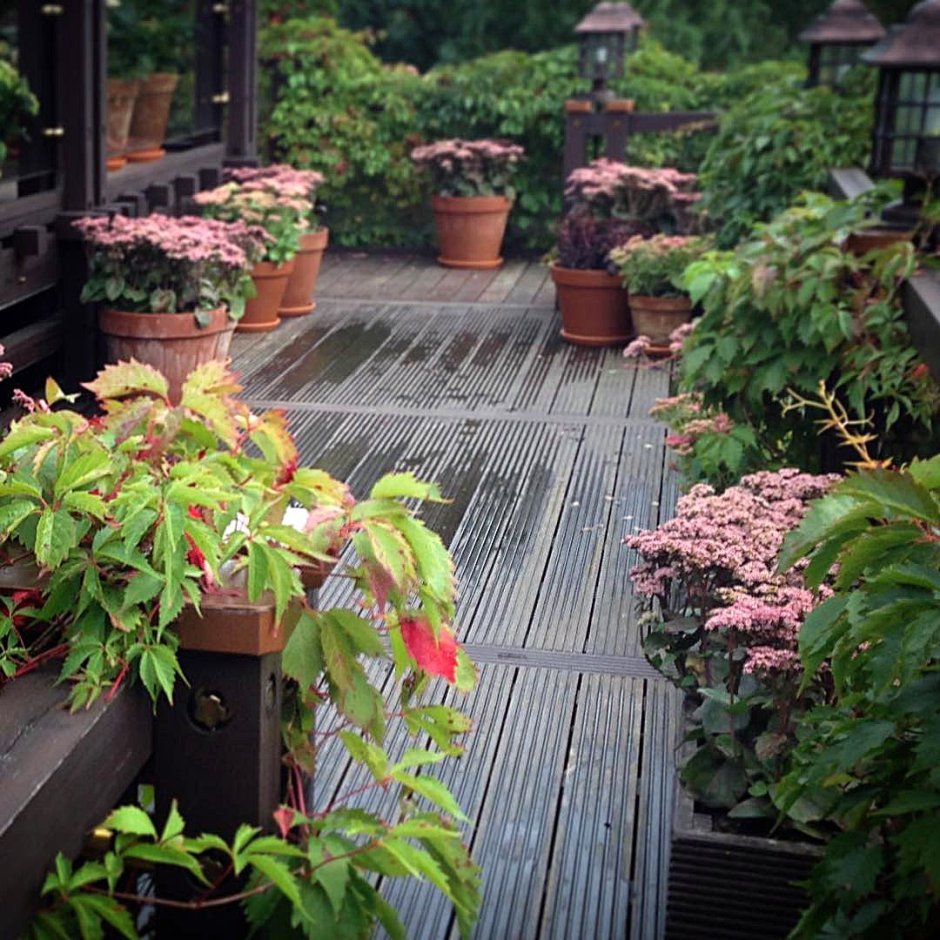 Сад в контейнерах