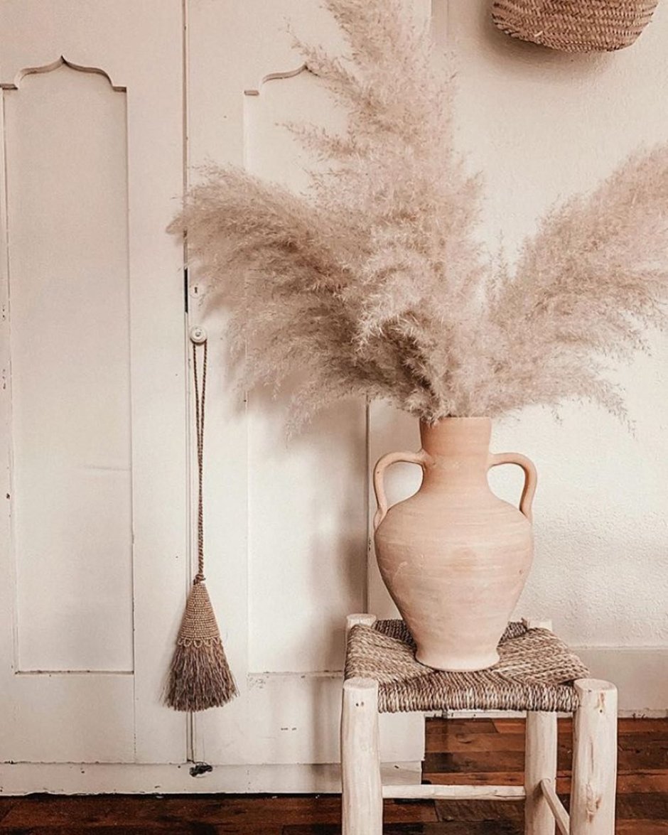 Pampas grass Decor
