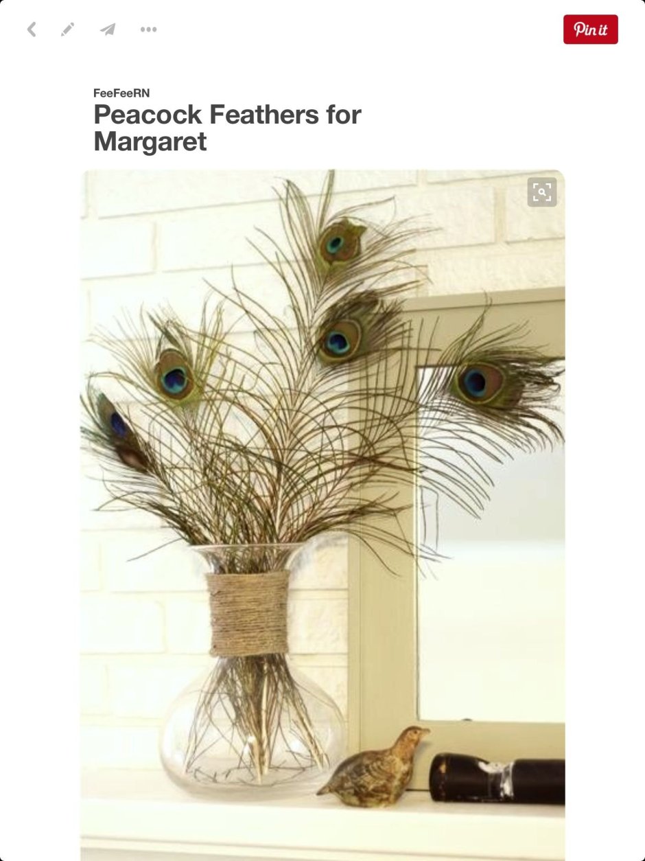 Пампасная трава камыш