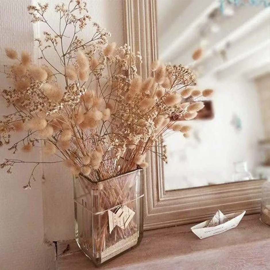 Пампасная трава cухоцвет