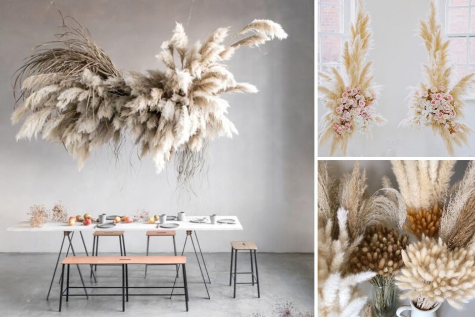 Пампас в вазе