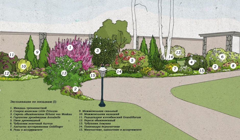 Схема посадки хвойников с кустарниками