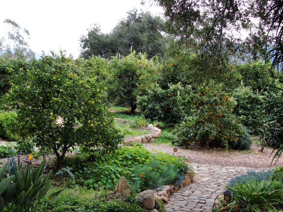 Ландшафт плодового сада