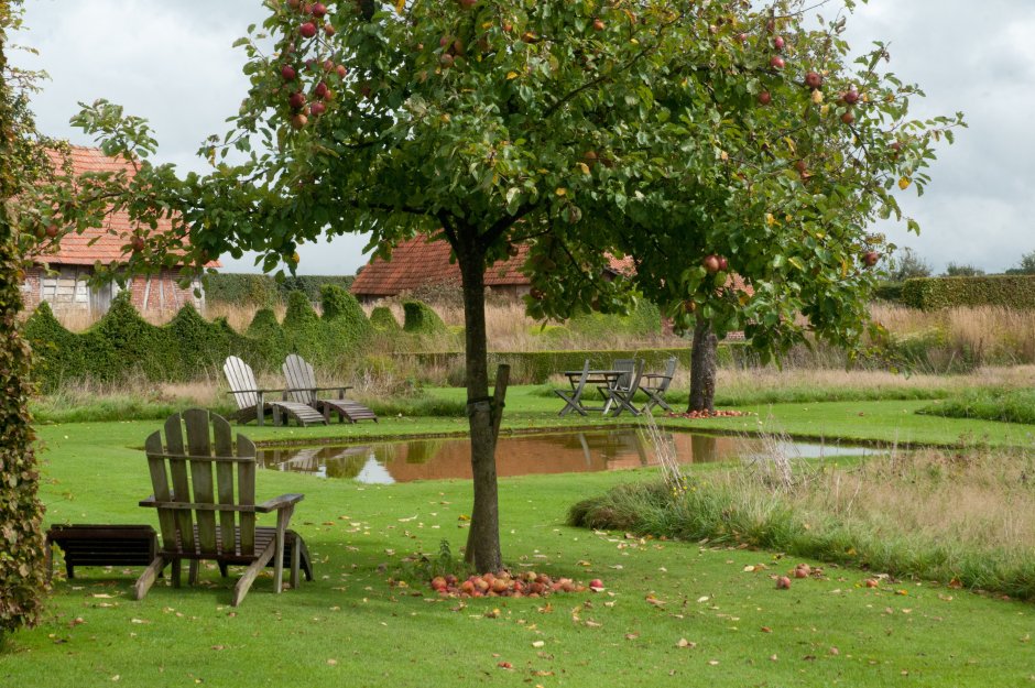 Яблони в Нормандии