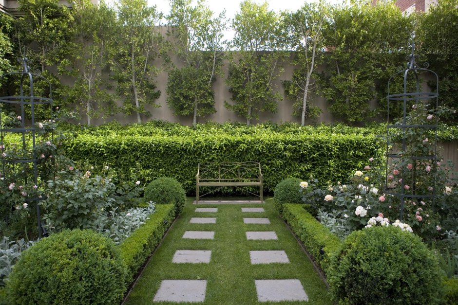 Кизильник Боскет