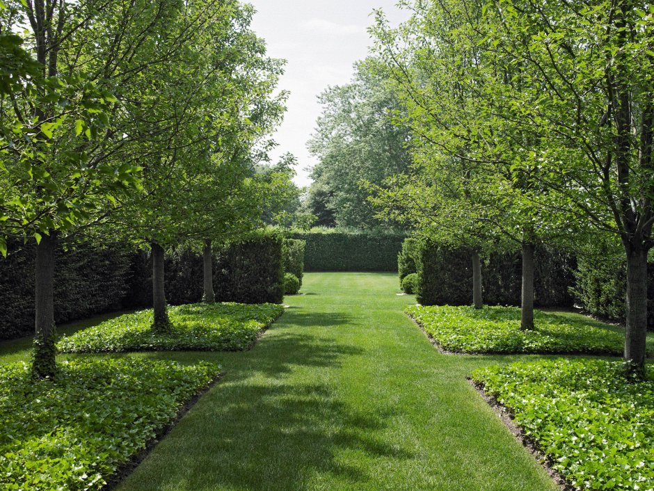 Ландшафт фруктового сада