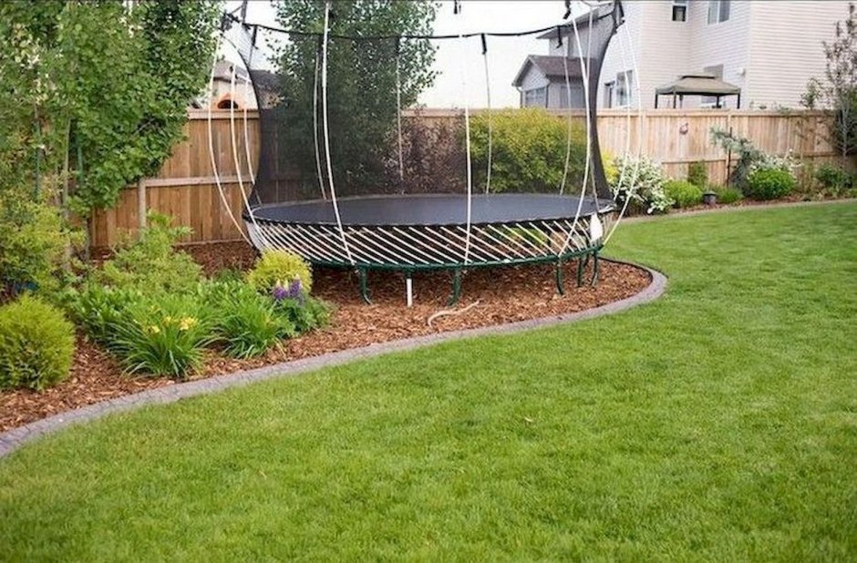 Приствольный круг вокруг яблони