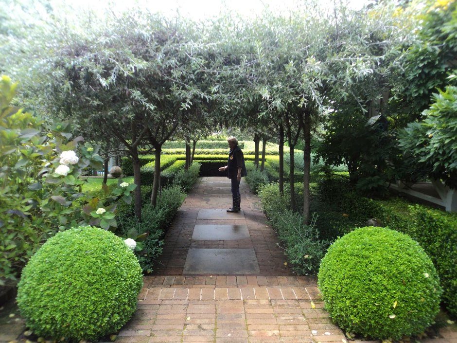 Хелен парк+ ландшафт