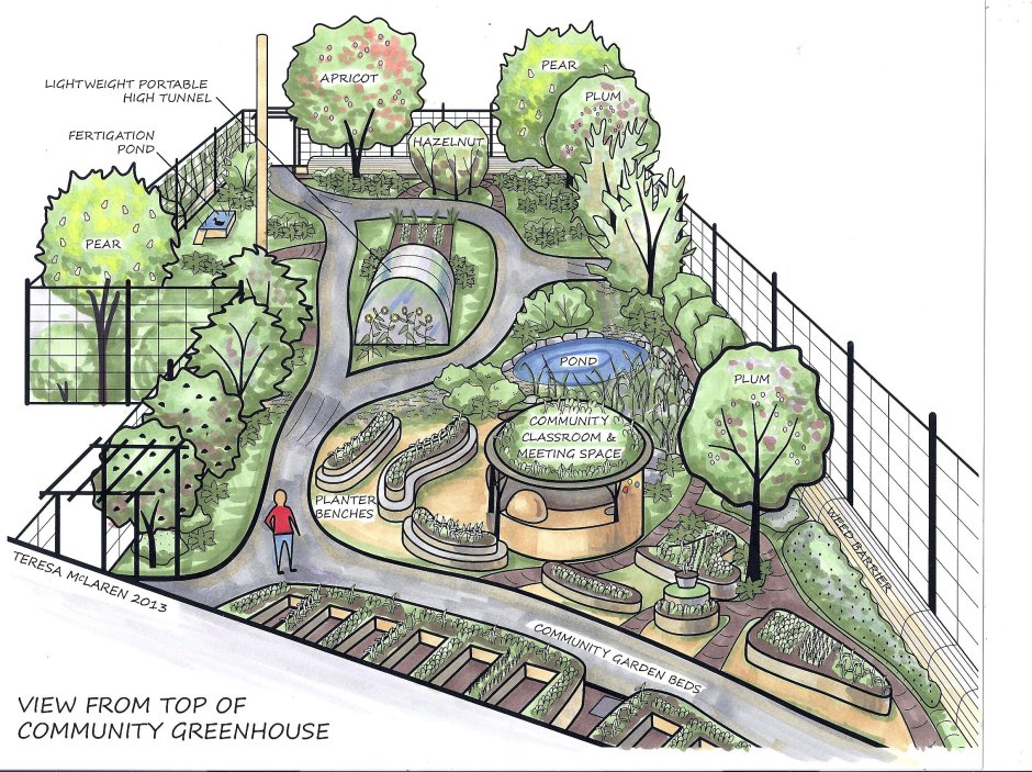 Плодоаый деревья на участке