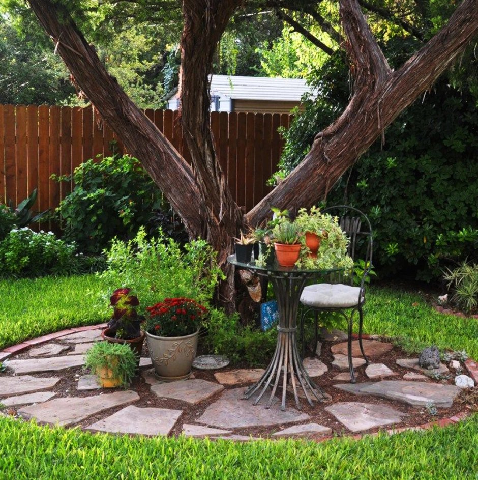 Пальметта яблоня