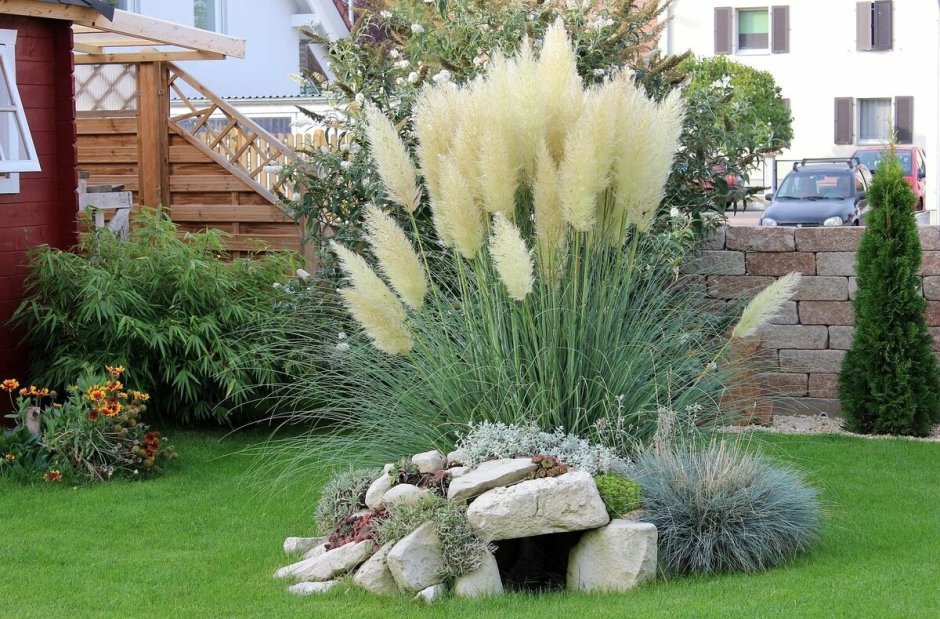 Арка с пампасной травой