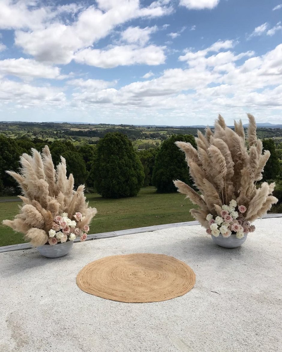 Злаки в ландшафтном дизайне