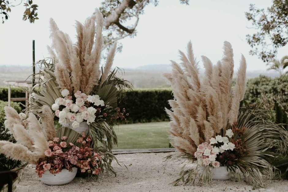 Злаки в современном саду