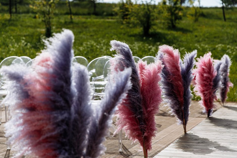 Пампасная трава свадьба
