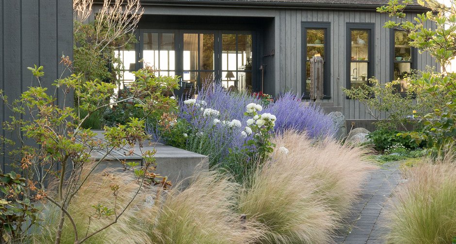 Кортадерия Селло