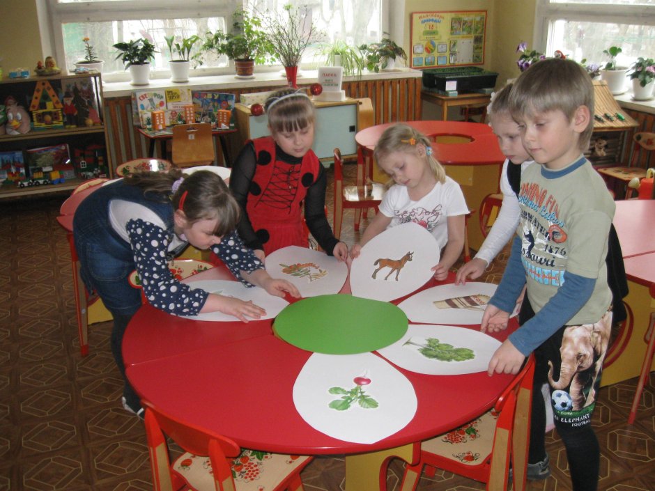 Старшая группа детского сада