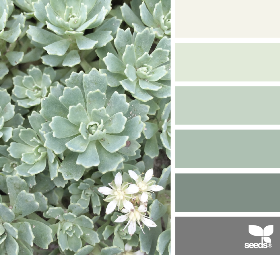 Цвет Полынь палитра