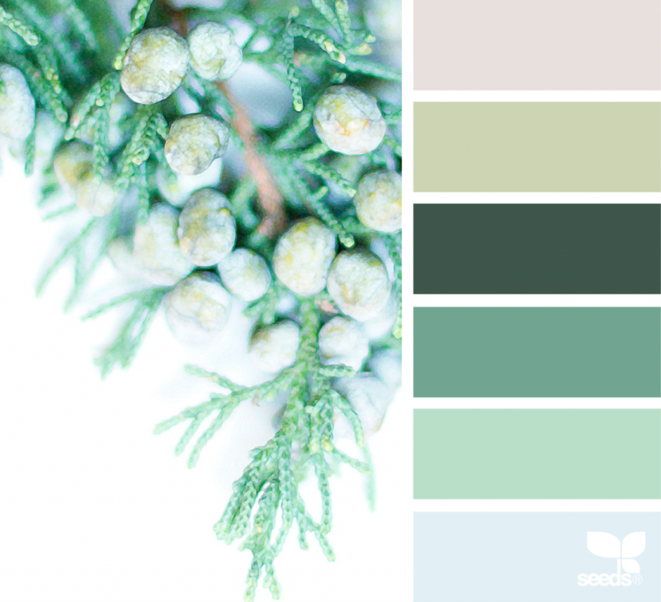 Палитра Сидс холодные зелёные