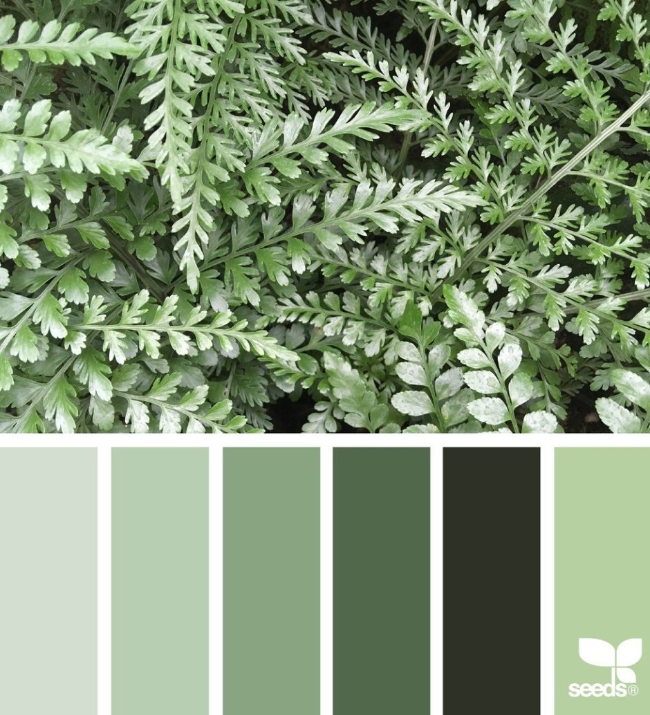 Палитры Сидс зеленые