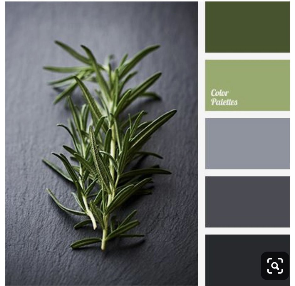 Цветовая палитра зеленый серый