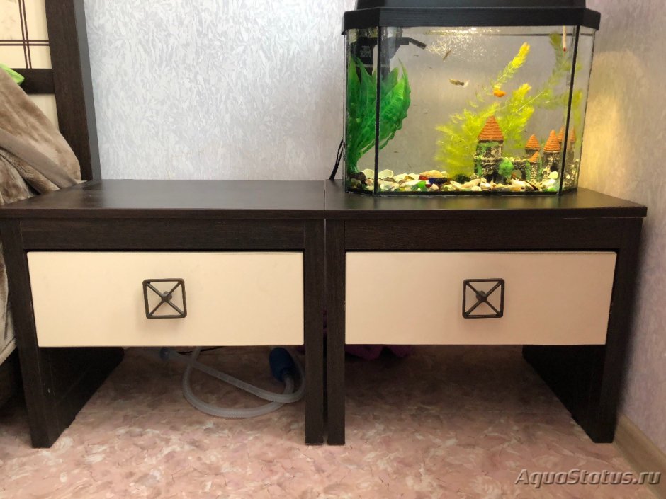 Аквариумом на столе школьника