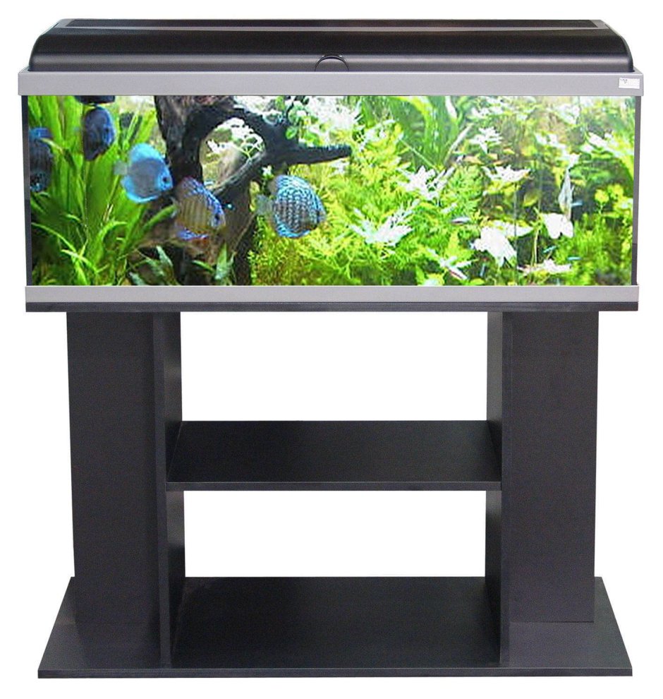 Красивые аквариумы в квартире