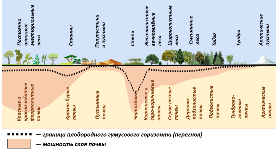 Типы почв по природным зонам