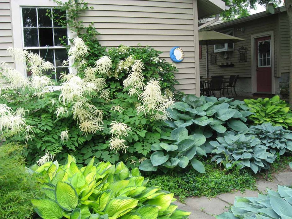 Миксбордер с барбарисом