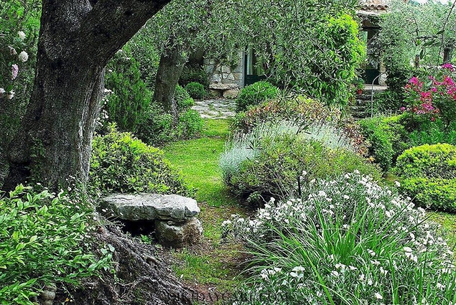 Экостиль в России ландшафт