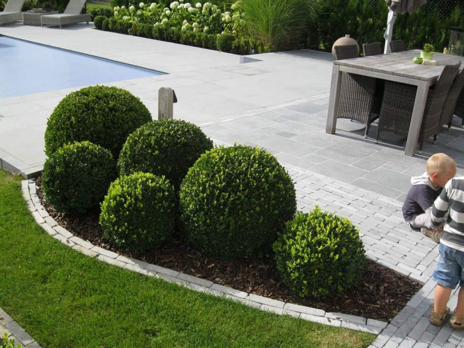 Ландшафтное бюро мох Фоменко