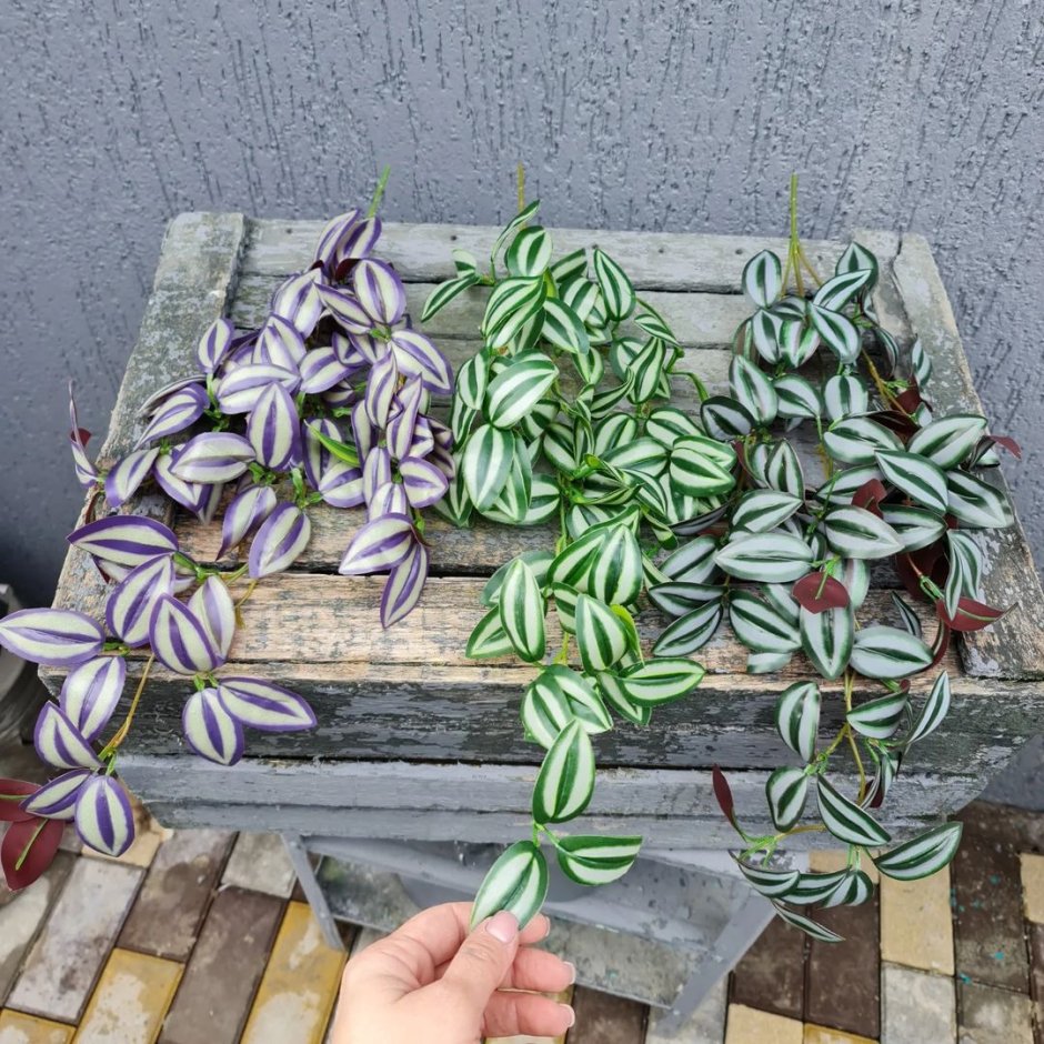 Детская комната с растениями