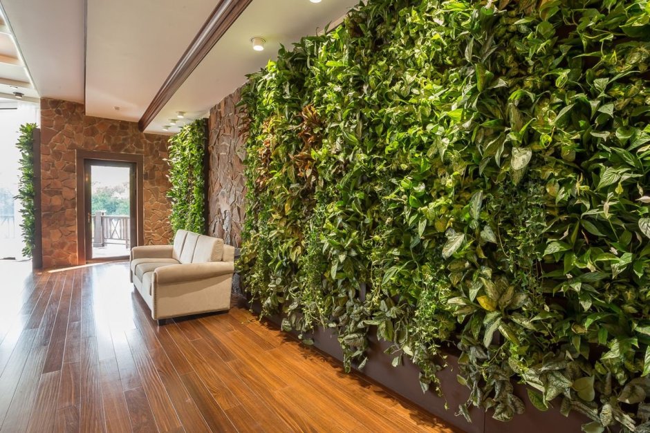 Оранжерея в квартире