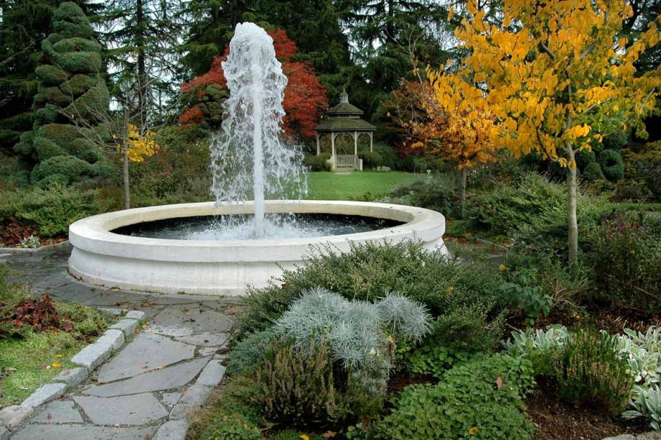 Сад «фонтанчик» Седова