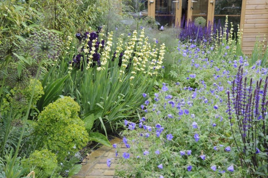 Колокольчики в дизайне сада