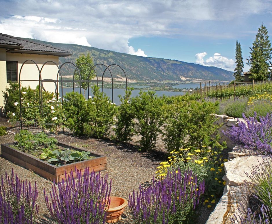 Средиземноморский стиль в ландшафте