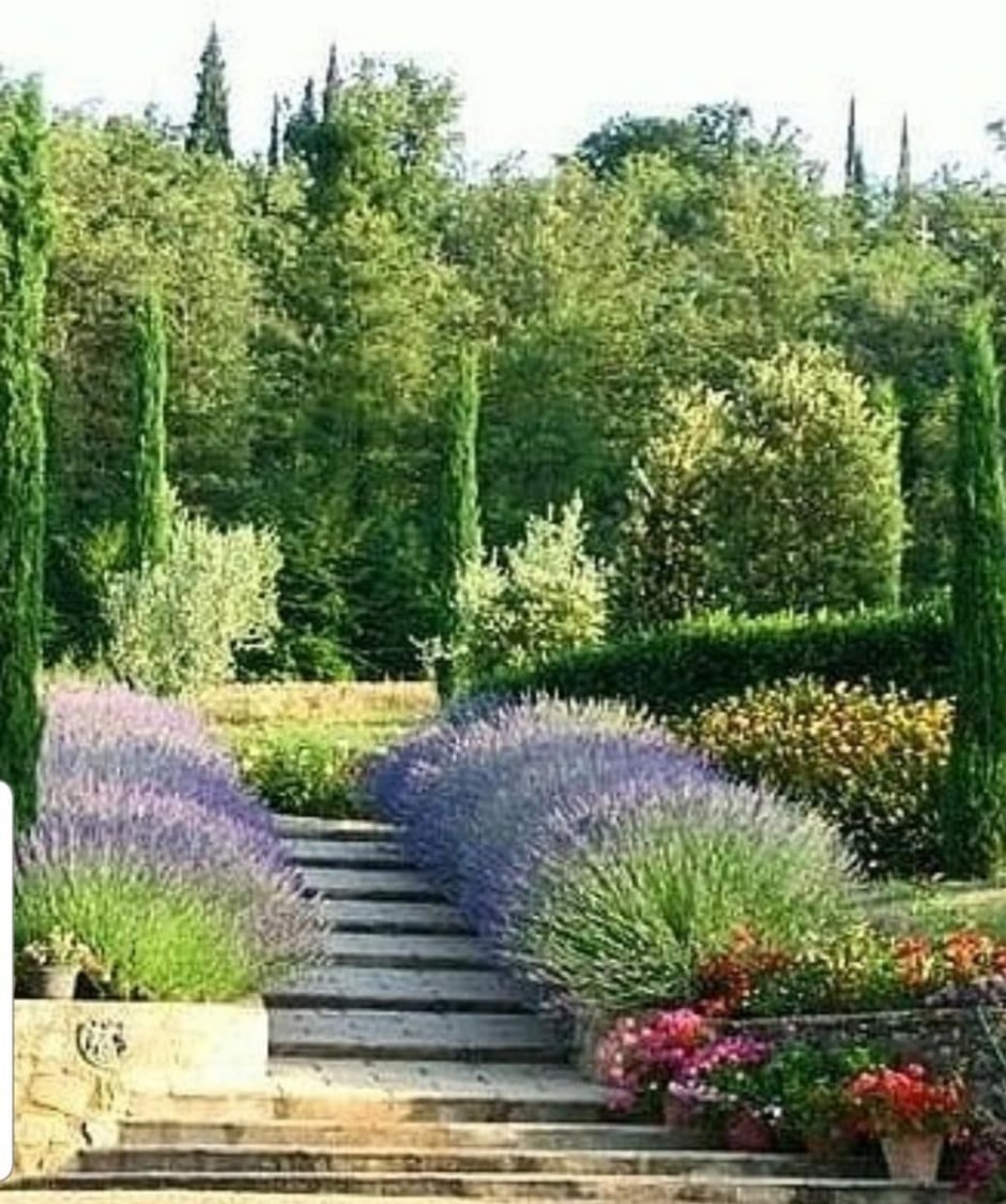 Итальянский сад ландшафт Тоскана