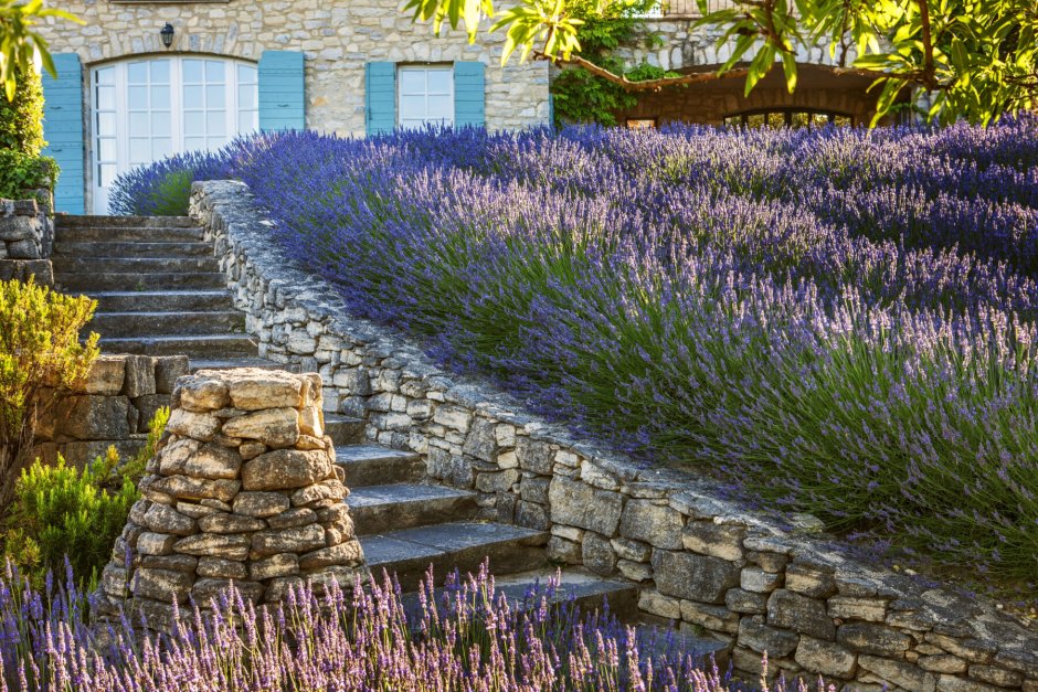 Сад Энтони пола в Провансе