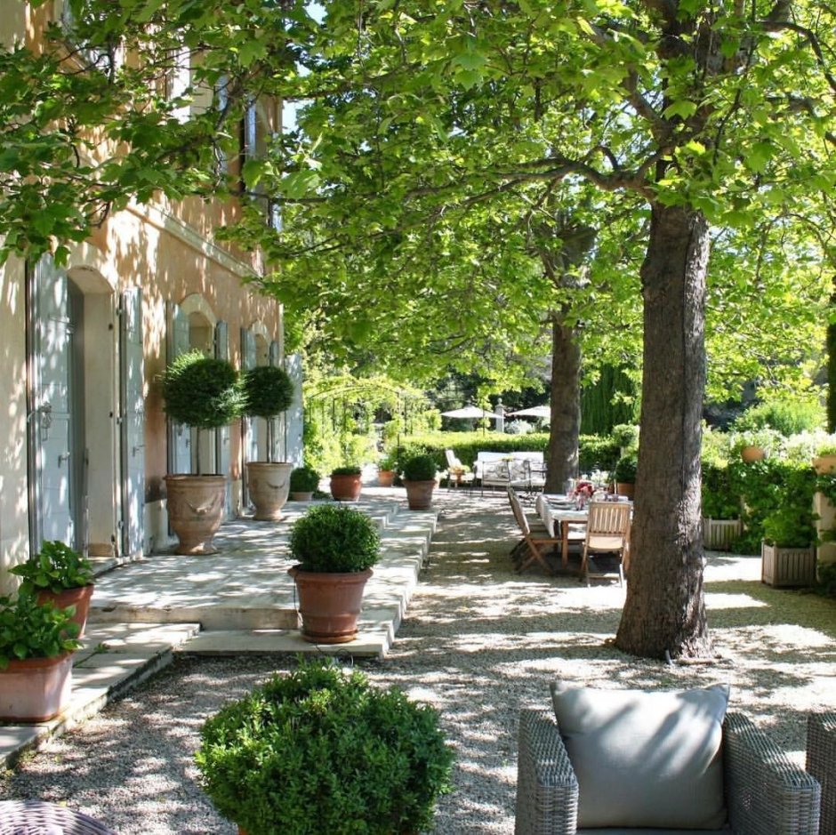 Прованс в саду фото