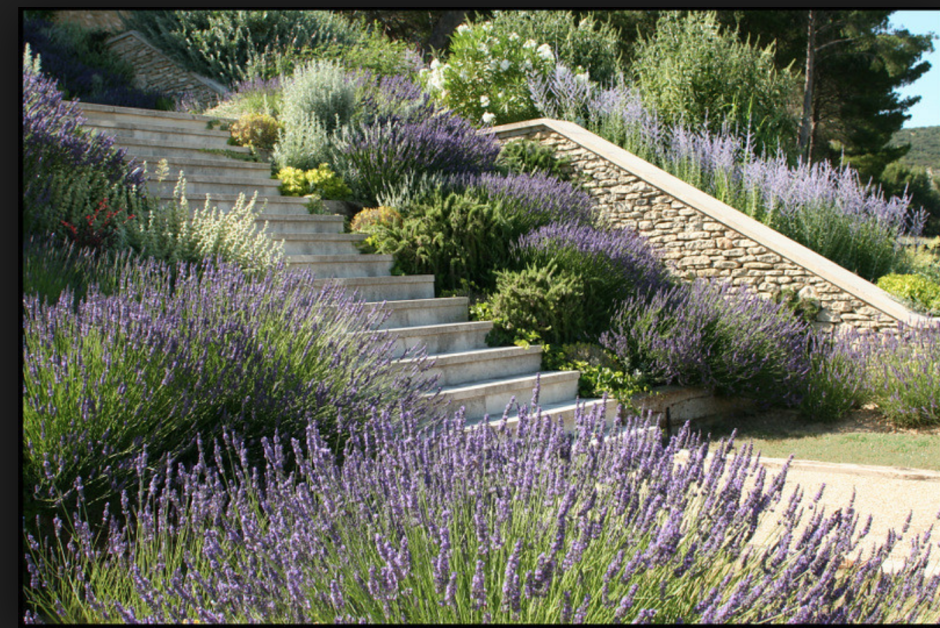 Сад Энтони пола в Провансе