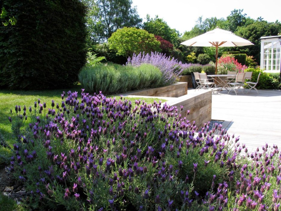 Гравийный сад Энтони пола