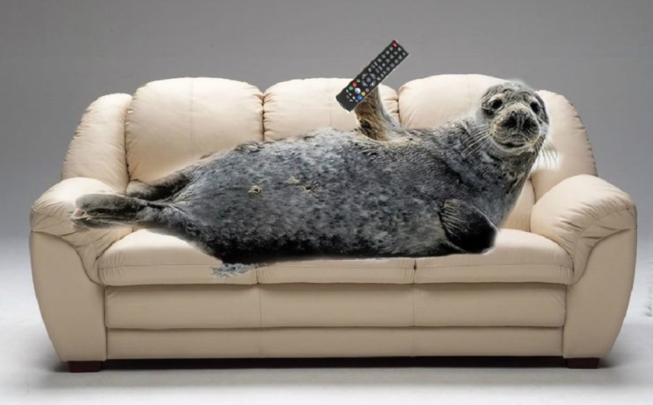 Валяться на диване