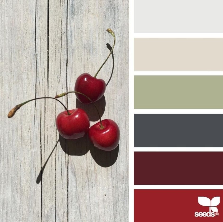 Цветовое сочетание вишня