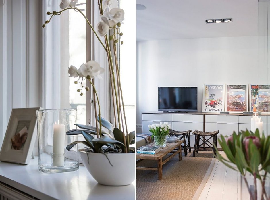 Орхидеи в интерьере квартиры