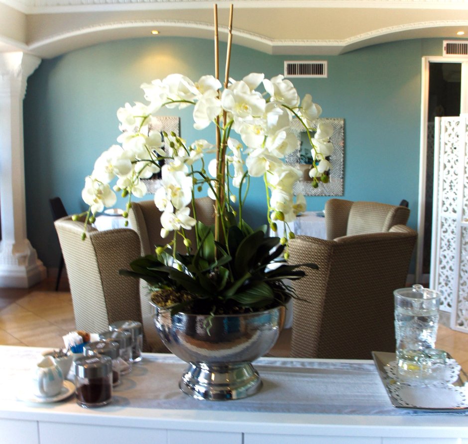 Композиции из орхидей в интерьере