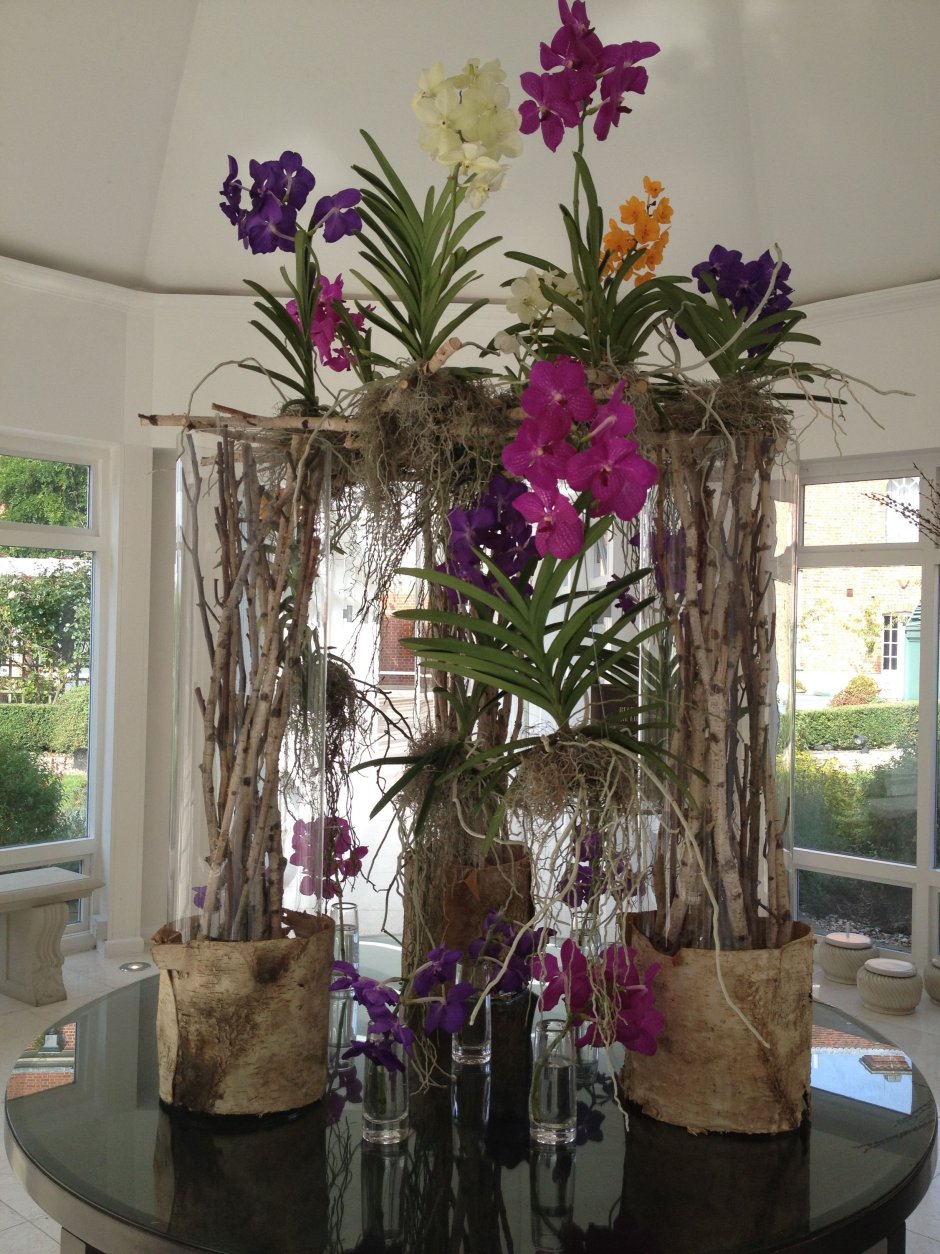 Цимбидиум в интерьере