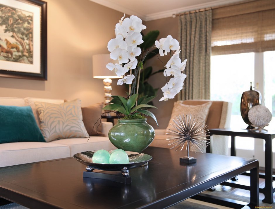 Фаленопсис декорейшен