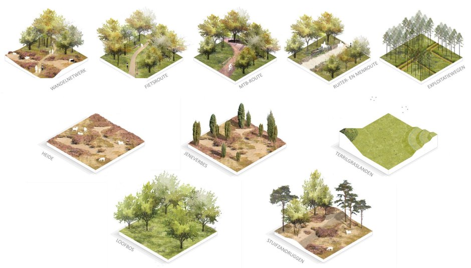 Эволюционный ландшафт