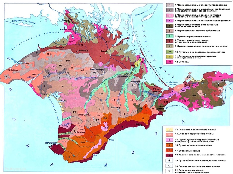 Реал тайм ландшафт архитект